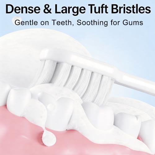 Aluminum Toothbrush Cover Cap with 2 Manual Soft Bristle Toothbrushes
