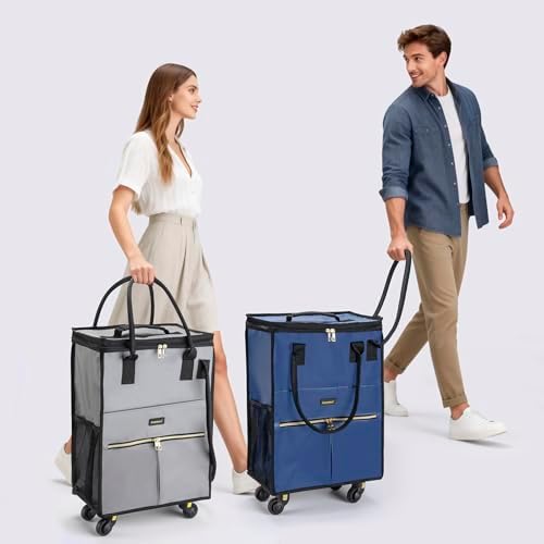 PASMAN Reusable Foldable Rolling Grocery Bag on 4 Wheels,Small,Matte-Grey