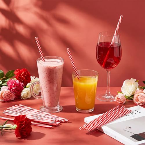 Honeydak 100 Pcs Reusable Plastic Straws Bulk,Red and White Stripe