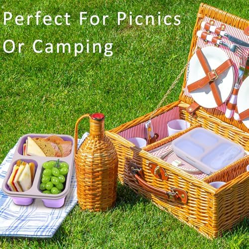 Large Collapsible Silicone Bento Lunch Box, 2 Pack with 3 Compartments Each,45.6oz Food Storage Containers with Spoons Forks, Portable for Work, Picnic, Travel, BPA Free(Blue+ Purple)
