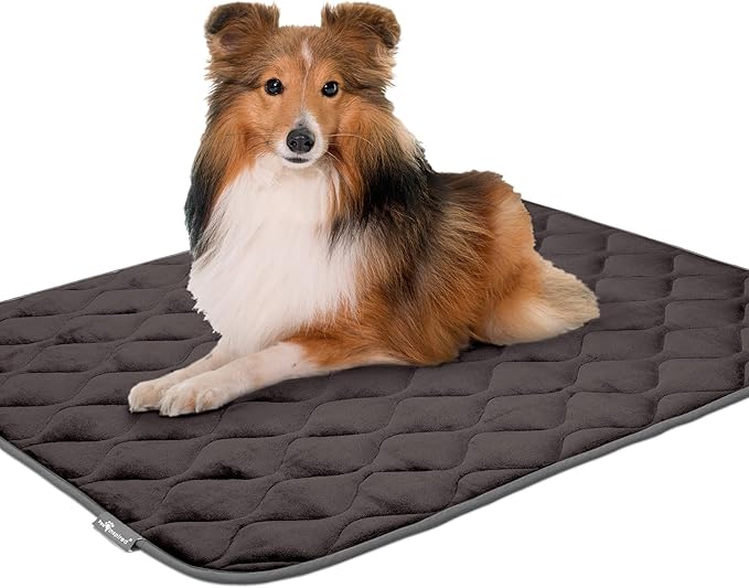 Paw Inspired Washable Padded Crate Mats for Dogs | 41” x 28” Pad, Fits 42-inch Kennels | Leakproof, Waterproof Bottom, Plush Pet Beds (Gray)
