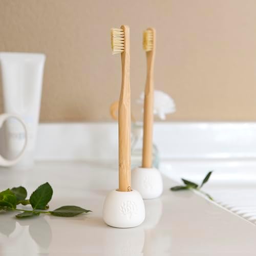 Gaia Guy Boar Bristle Bamboo Toothbrushes – 6 Pack Adult Toothbrush Set – No Nylon, Plastic-Free Natural Bristles, Bamboo Handle, Made from Natural Materials, Eco-Friendly Oral Care