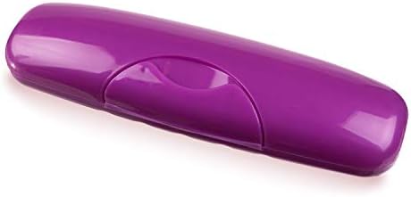 RADIUS Toothbrush Big Brush, BPA Free and ADA Accepted, Right Hand, Purple and Big Brush Case, Purple, 1 count