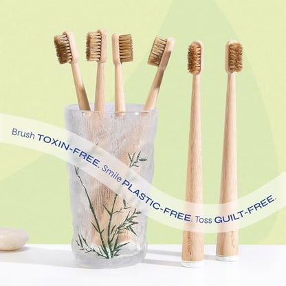 Boar Bristle Bamboo Toothbrush, Made from Natural Boar Hair Bristles, Plastic-Free (Pack of 6)