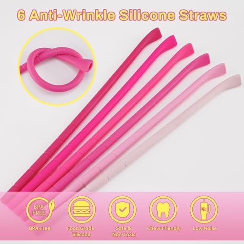 NiHome 6PCS Silicone Anti-Wrinkle Straws Fit for Stanley 40oz 30oz Tumblers