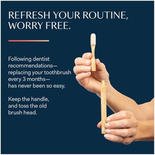 Better & Better Natural Bamboo Toothbrush | Soft Bristles | 100% Plant-Based | Reusable Handle and Replaceable Brush Head | Eco-Friendly, Zero Plastic | Adult Size, White