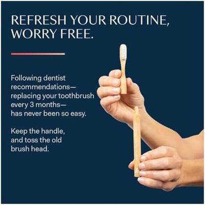 Better & Better Natural Bamboo Toothbrush | Soft Bristles | 100% Plant-Based | Reusable Handle and Replaceable Brush Head | Eco-Friendly, Zero Plastic | Adult Size, Blue