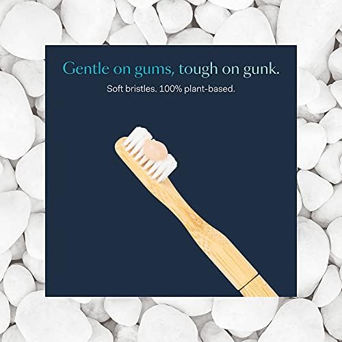 Better & Better Manual Bamboo Toothbrush Head Refill | Soft Bristles | Replaceable Brush Head Only | Eco-Friendly, Zero Plastic | Adult Size, Does not fit Sonic Electric Toothbrush