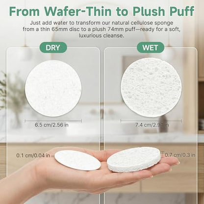 100-Count Compressed Facial Sponge, White
