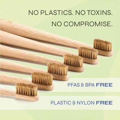 Boar Bristle Bamboo Toothbrush, Made from Natural Boar Hair Bristles, Plastic-Free (Pack of 6)