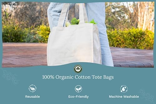 Best Canvas Grocery Shopping Bags - Cloth Grocery Tote Bags - Reusable Cotton Grocery Tote Bags with Bottle Sleeves