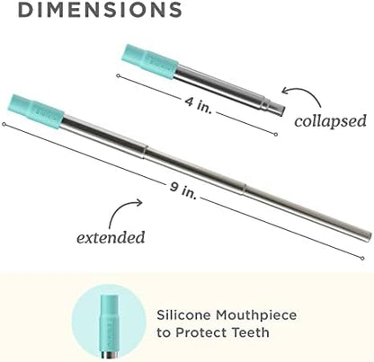 Zoku Reusable Metal Straw with Case, Collapsible Travel Straw - Teal