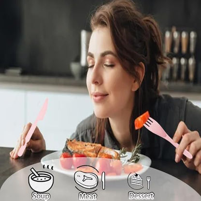 2Pack Pink Wheat Straw Travel Cutlery, BPA Free Utensils with Storage Case