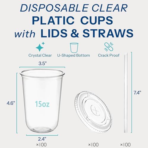 Homestockplus 15 oz Clear PET Plastic Cups with Lids and Straws - 100 Pack Leak-Proof Disposable Plastic Coffee Cups Iced Coffee Cups for Smoothies, Bubble Tea & To-Go Cold Drinks