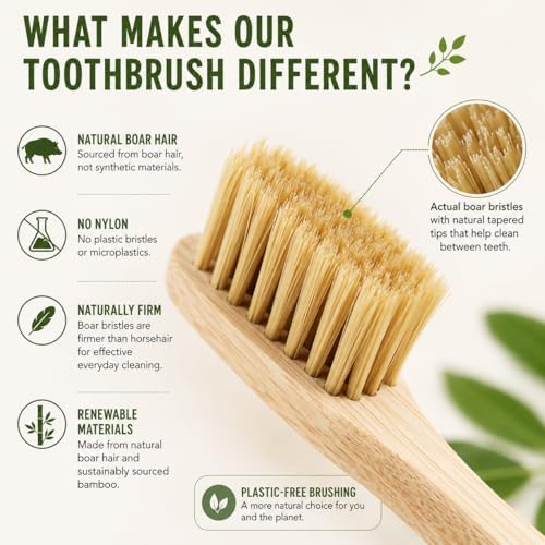 Gaia Guy Boar Bristle Bamboo Toothbrushes – 6 Pack Adult Toothbrush Set – No Nylon, Plastic-Free Natural Bristles, Bamboo Handle, Made from Natural Materials, Eco-Friendly Oral Care