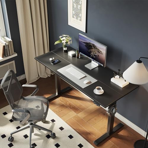 Agilestic 40 * 24 Inch Height Adjustable Electric Standing Desk, Black