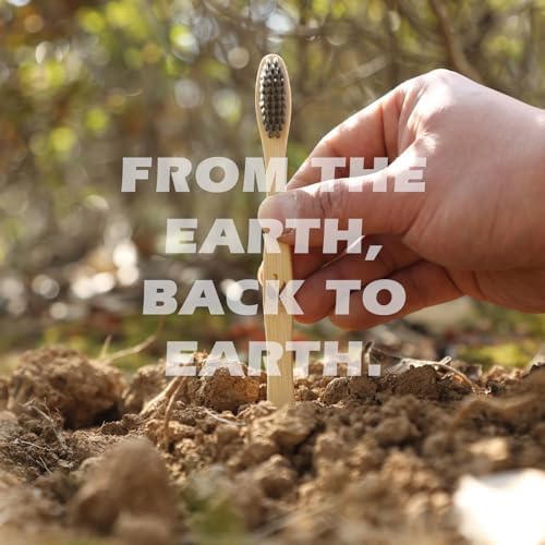 Isshah Biodegradable Bamboo Toothbrush - Compostable Eco-Friendly - 8 Pack