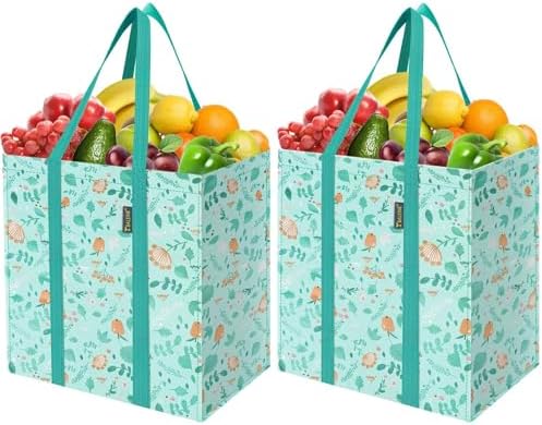 BALEINE 2 PK Grocery Bags Reusable Shopping Bags with Reinforced Bottom, Heavy Duty Foldable Tote Bags (Spring Stroll)
