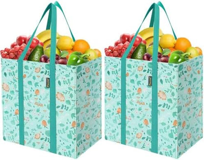 BALEINE 2 PK Grocery Bags Reusable Shopping Bags with Reinforced Bottom, Heavy Duty Foldable Tote Bags (Spring Stroll)