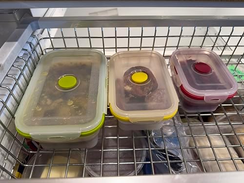 Collapsible Silicone Food Storage Containers - Rectangular Set of 4 with Airtight Snap-Down Plastic Lids - Microwave, Dishwasher, Freezer Safe