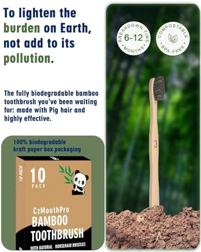 Natural Horse Bristle Bamboo Toothbrush 10 Pack Adult