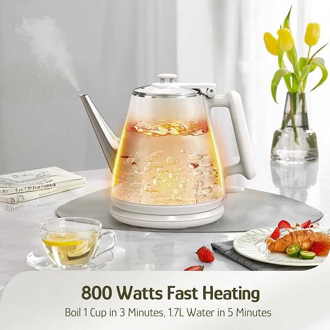 Hazel Quinn Electric Kettle - 1L/34oz Small Tea Kettle