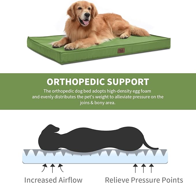Tail Stories Outdoor Large Washable Dog Bed, Orthopedic Egg Crate Foam Dog Crate Mat for Large Dogs with Removable Oxford Cooling Cover, Light Green