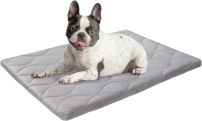 BEAUTYZOO Dog Crate Pad for Medium Dogs, Washable & Detachable Kennel Mat, Anti-Slip Soft Fluffy Puppy Bed for Crate, Cage, and Car Travel, Cozy Sleeping Mattress, 30x20 Inches, Gray