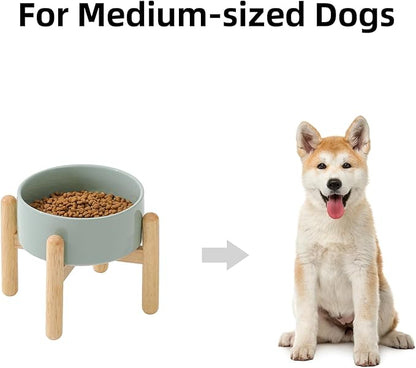 Ceramic 6.1inch Raised Dog Bowl