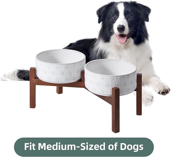 7.3inch Ceramic Raised Double Bowls Set