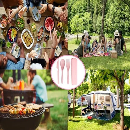 2Pack Pink Wheat Straw Travel Cutlery, BPA Free Utensils with Storage Case