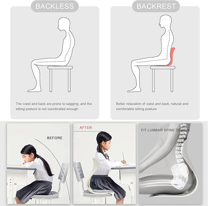 Posture Support Cushion - Lumbar & Back Support for Office Chair, Car Seat, Sofa, Ergonomic Chair & Back Cushion Back Support (03)
