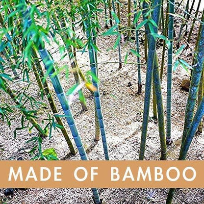 laboos Bamboo Manual Toothbrush, Soft Compact Bristle, Eco Friendly Biodegradable Wooden Toothbrush for Daily Use (4 Pack)
