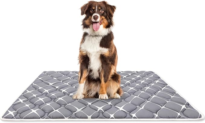 Bubble bear Dog Crate Mat - Ultra Soft, Washable & Anti-Slip Kennel Pad for Small/Medium/Large Dogs, Dark-Hued to Hide Stains (59"x35")