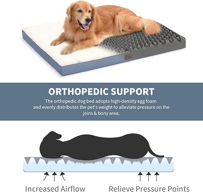Tail Stories Orthopedic Dog Bed for Large Dogs - Pet Bed with Removable Washable Cover, Large Waterproof Dog Bed for with Egg Crate Foam, Blue White