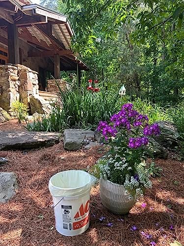 6-8 Gallon Compostable Trash Bags by BioBag, 45 Count, BPI Certified, Meets ASTM D6400 Standards, Made in USA, Medium Kitchen Bin Liners