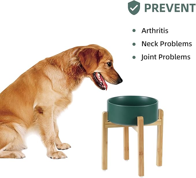 Ceramic Raised Dog Bowl Set, Elevated Dog Bowl