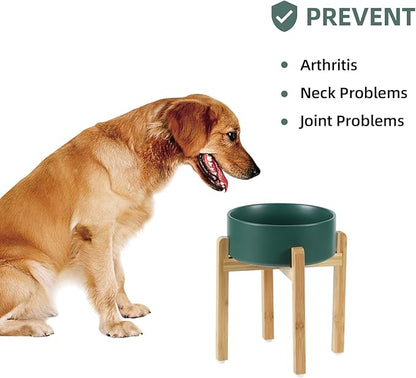 Ceramic Raised Dog Bowl Set, Elevated Dog Bowl