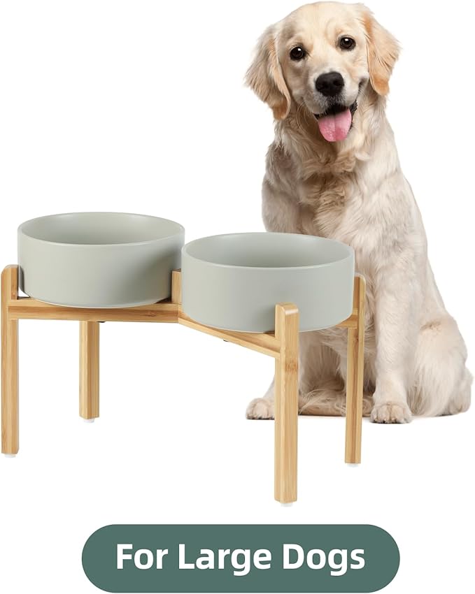 Ceramic Raised Double Bowls Set