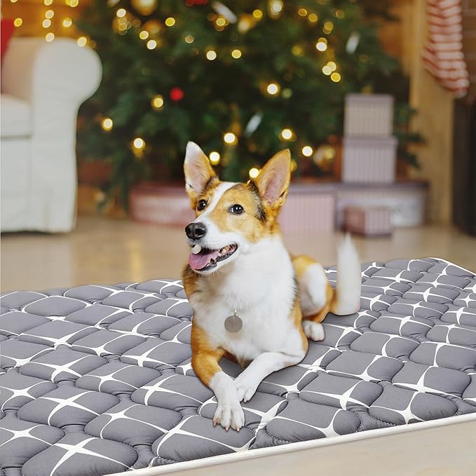 Bubble bear Dog Crate Mat - Ultra Soft, Washable & Anti-Slip Kennel Pad for Small/Medium/Large Dogs, Dark-Hued to Hide Stains (59"x35")