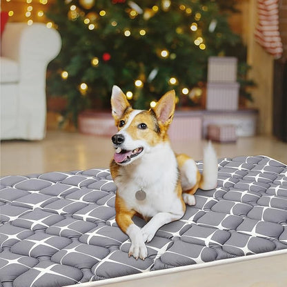 Bubble bear Dog Crate Mat - Ultra Soft, Washable & Anti-Slip Kennel Pad for Small/Medium/Large Dogs, Dark-Hued to Hide Stains (59"x35")