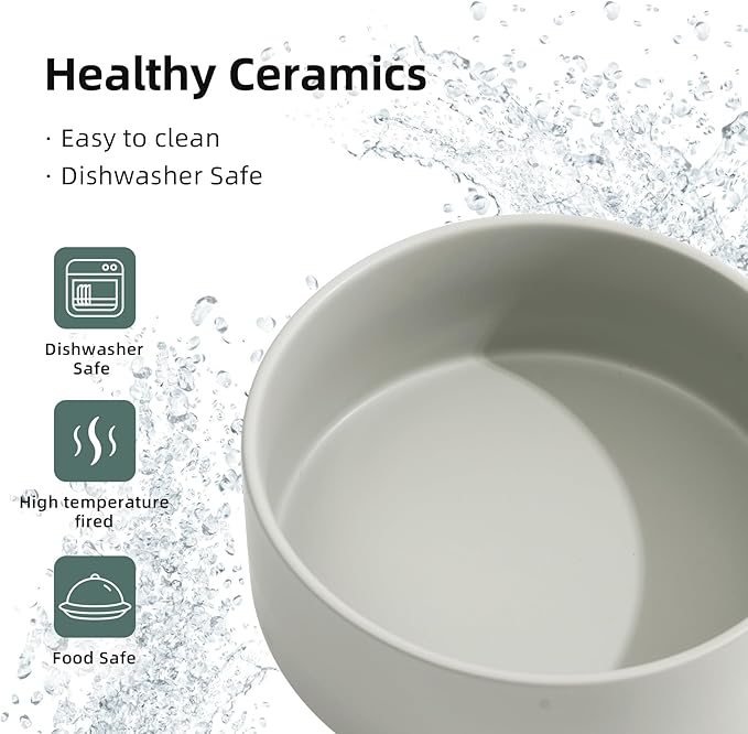 Ceramic Raised Double Bowls Set