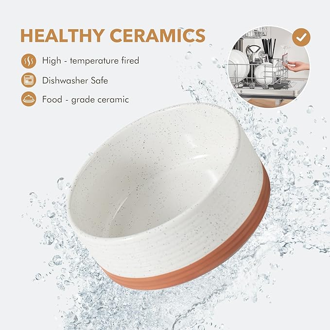 Ceramic 8.2inch Raised Double Dog Bowls Set