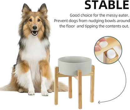 Ceramic 8.2inch Raised Dog Bowl Set, Elevated Feeder