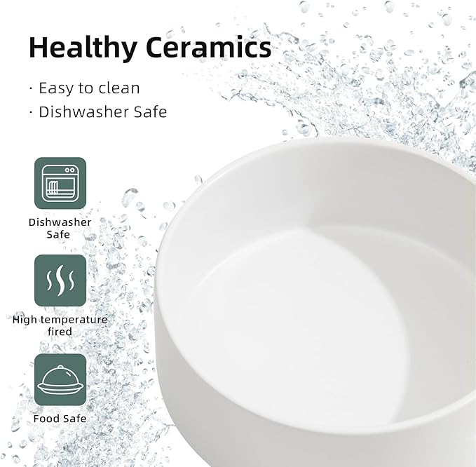 Ceramic Raised Double Bowls Set