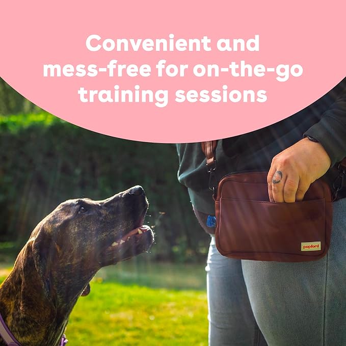 Pupford Freeze Dried Training Treats for Dogs & Puppies, 225+ Two Ingredient Bites (Salmon, 2 oz)