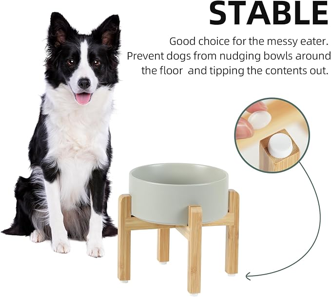 Ceramic Raised Dog Bowl Set, Elevated