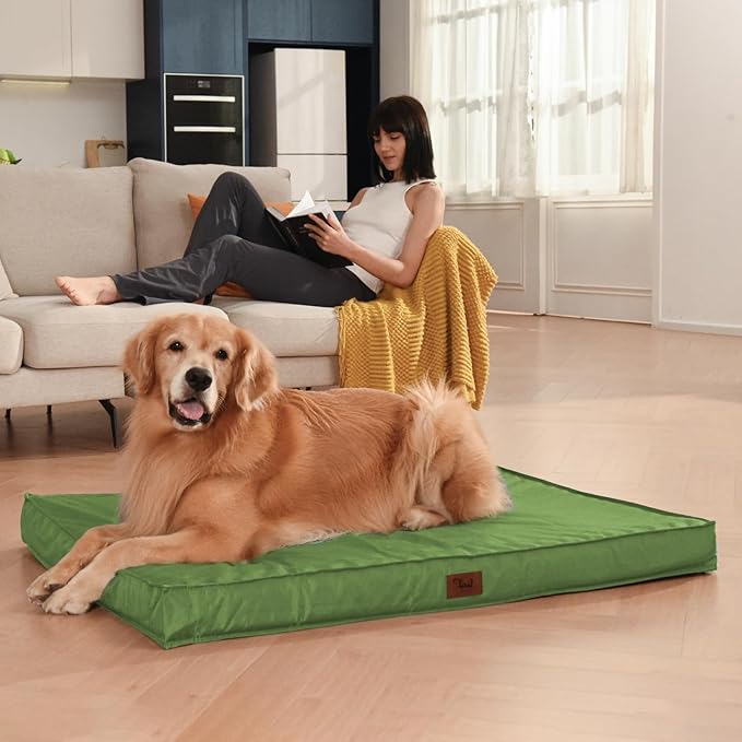 Tail Stories Outdoor Large Washable Dog Bed, Orthopedic Egg Crate Foam Dog Crate Mat for Large Dogs with Removable Oxford Cooling Cover, Light Green