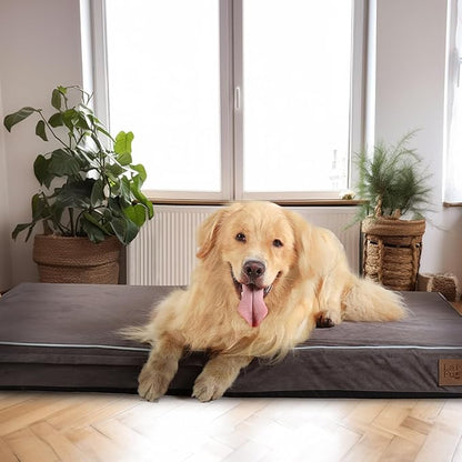 Laifug Orthopedic Memory Foam Pet(54"x 36"x 4",Slate Grey)/Dog Bed with Durable Waterproof Liner and Removable Washable Cover