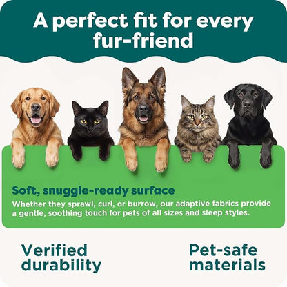 FurHaven Orthopedic Dog Bed for Large Dogs, Luxe Lounger Contour Mattress with Solid Orthopedic Foam Slab for Joint Support, Removable Washable Cover - Jumbo Plus XXL, Plush Suede, Cream